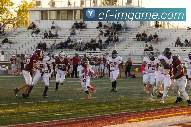 IM电竞官网发展历程